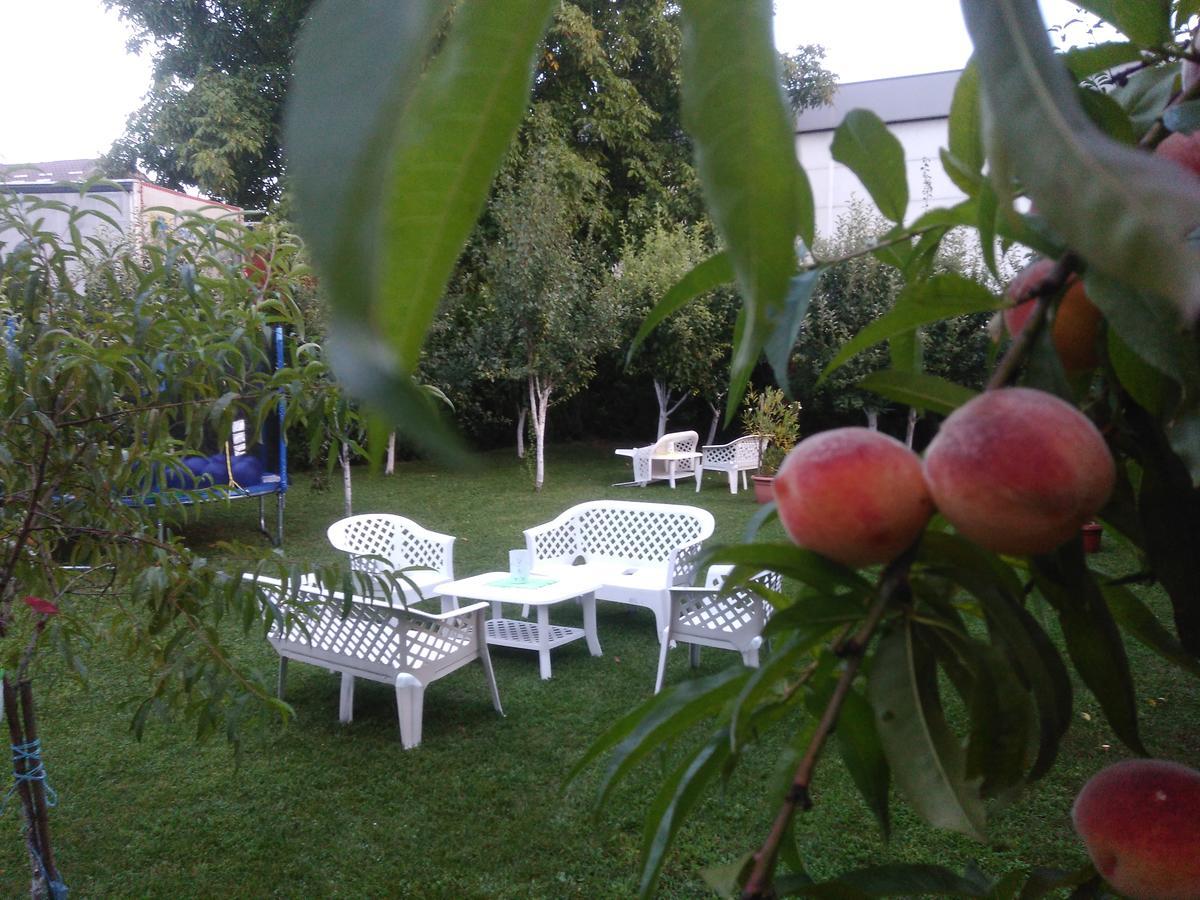 Elite Apartment Jasmina Bihac Bagian luar foto