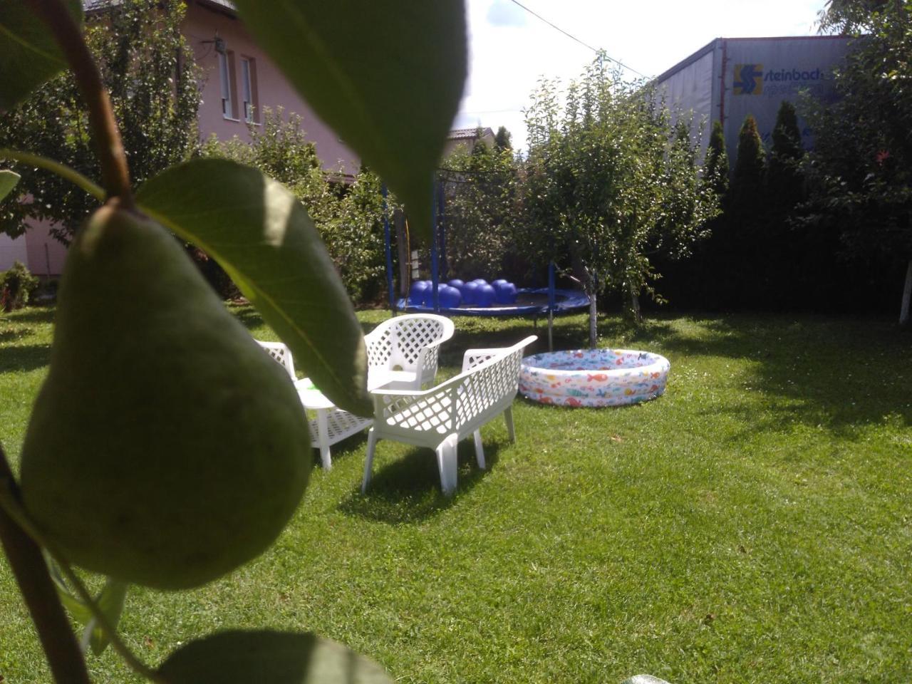 Elite Apartment Jasmina Bihac Bagian luar foto